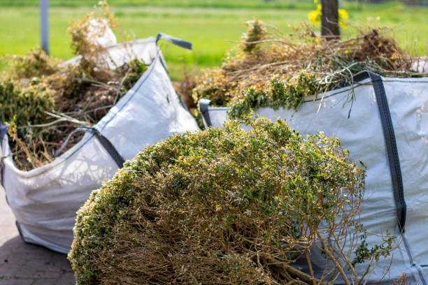 Best Commercial Junk Removal  in Capitol View, SC