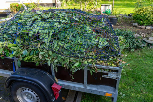 Best Scrap Metal Removal  in Capitol View, SC