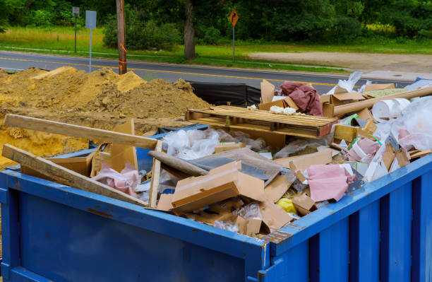 Best Electronics and E-Waste Disposal  in Capitol View, SC